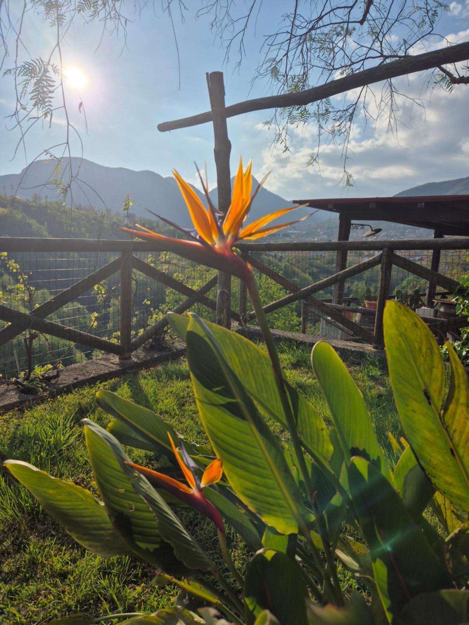 Bed and Breakfast La Cicogna Аджерола Экстерьер фото